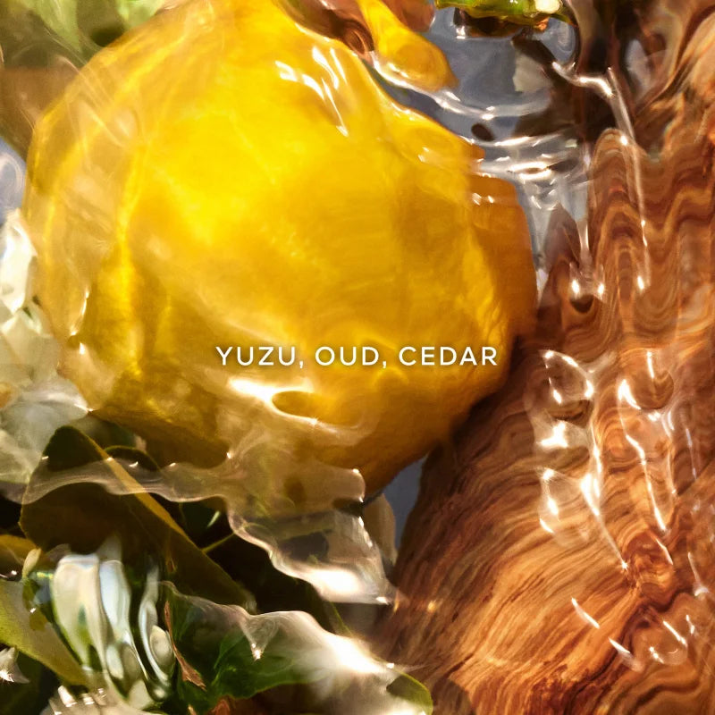 Guerlain Aqua Allegoria Oud Yuzu Forte, parfum enfant, deuxième visuel