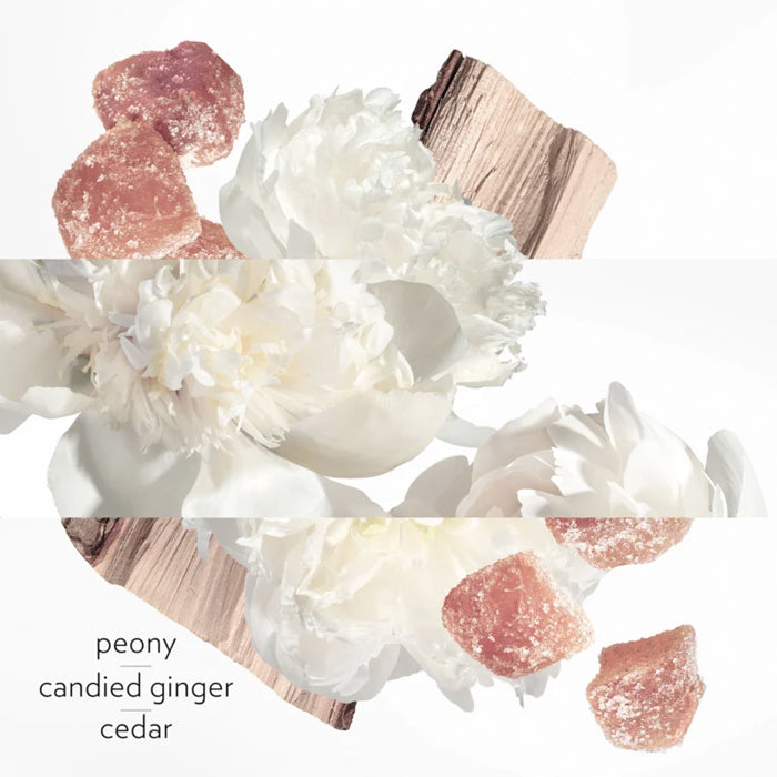 Twilly d’Hermès Eau Ginger, parfum femme, deuxième visuel