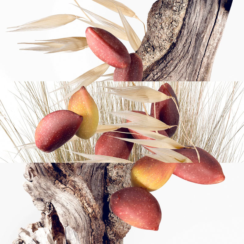 Hermès Un Jardin à Cythère, Herrenparfum, dritte Ansicht