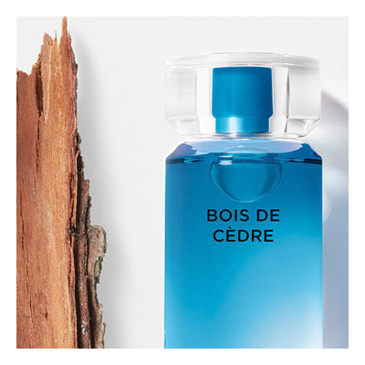Karl Lagerfeld Bois De Cèdre, Herrenparfum, dritte Ansicht