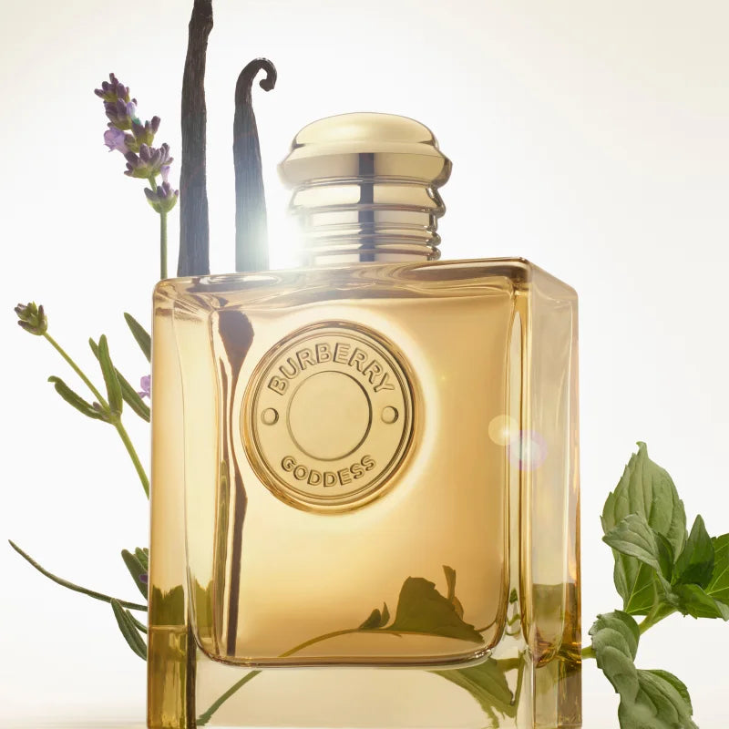 Burberry Goddess Intense, parfum femme, troisième visuel