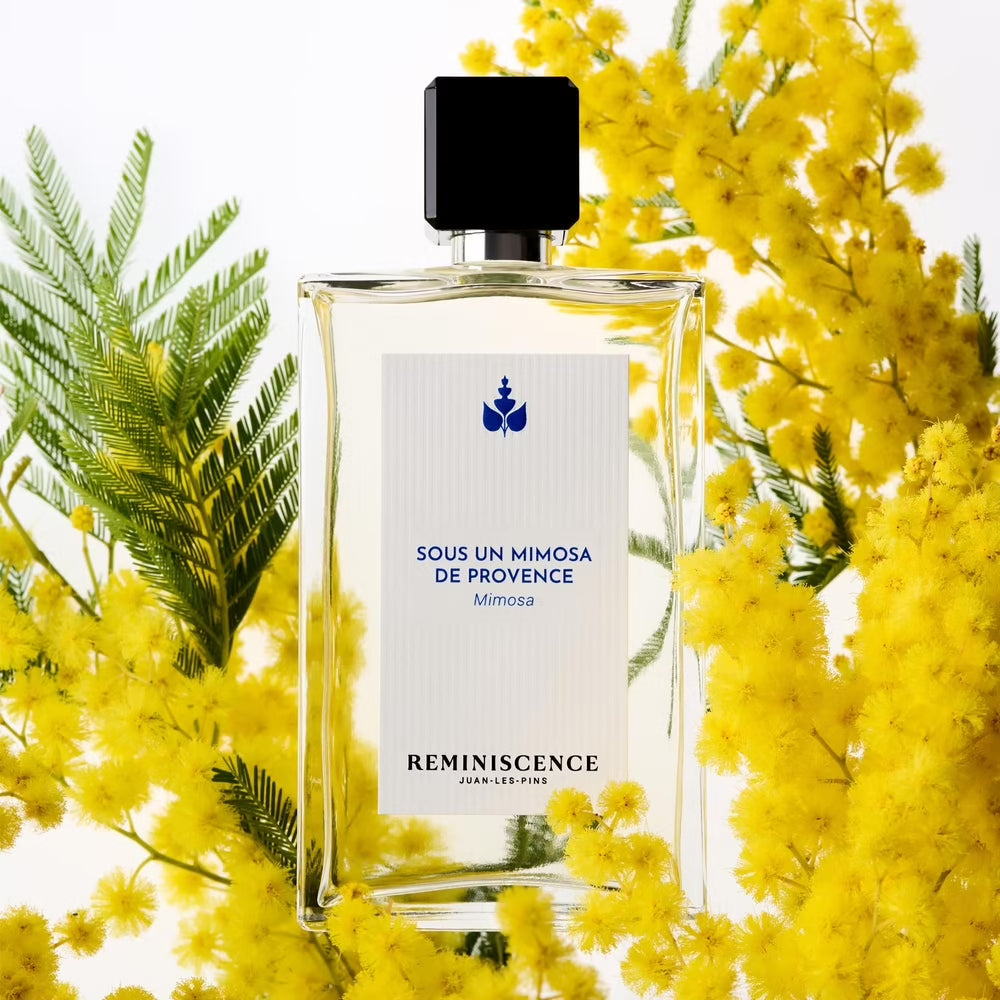 Reminiscence Sous Un Mimosa de Provence, parfum femme, deuxième visuel