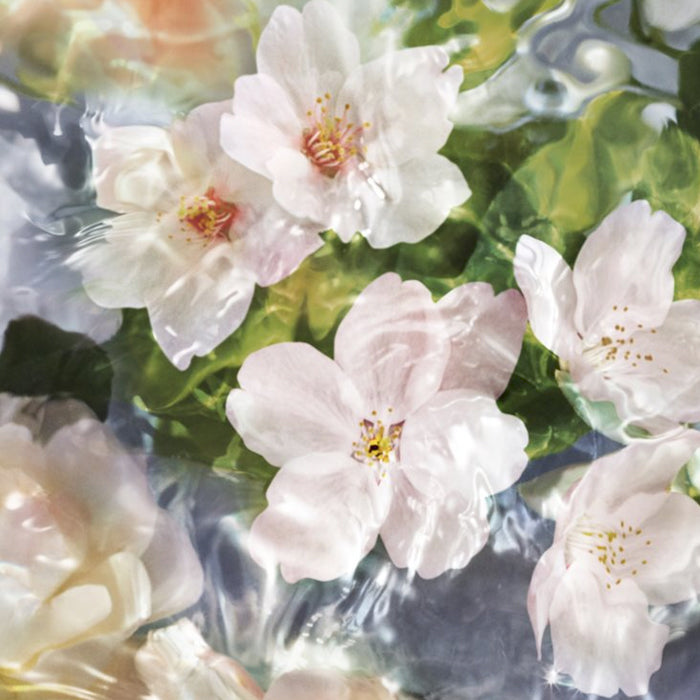 Guerlain Aqua Allegoria Flora Cherrysia, parfum femme, quatrième visuel