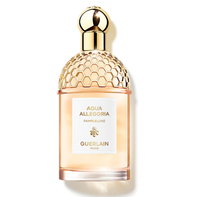Aqua Allegoria Pamplelune