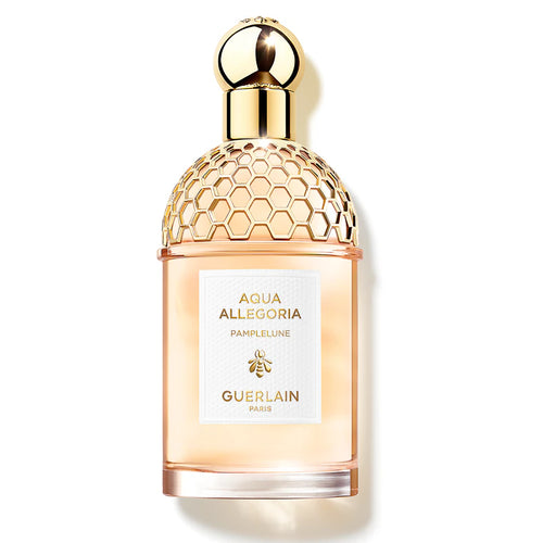 Aqua Allegoria Pamplelune