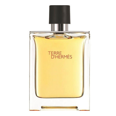 Terre d’Hermès, parfum homme, deuxième visuel