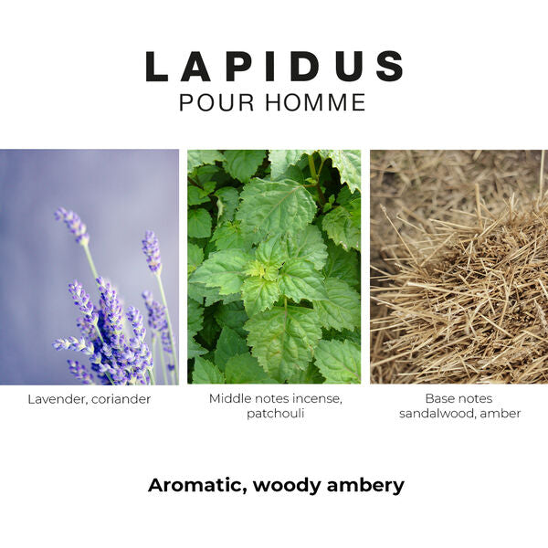 Ted Lapidus Lapidus Homme, parfum homme, quatrième visuel
