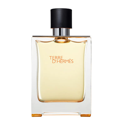 Terre d'Hermès, parfum homme, deuxième visuel