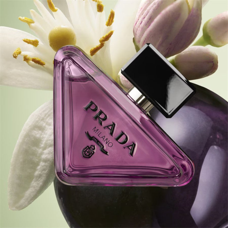 Paradoxe Sweet Chemistry Purple