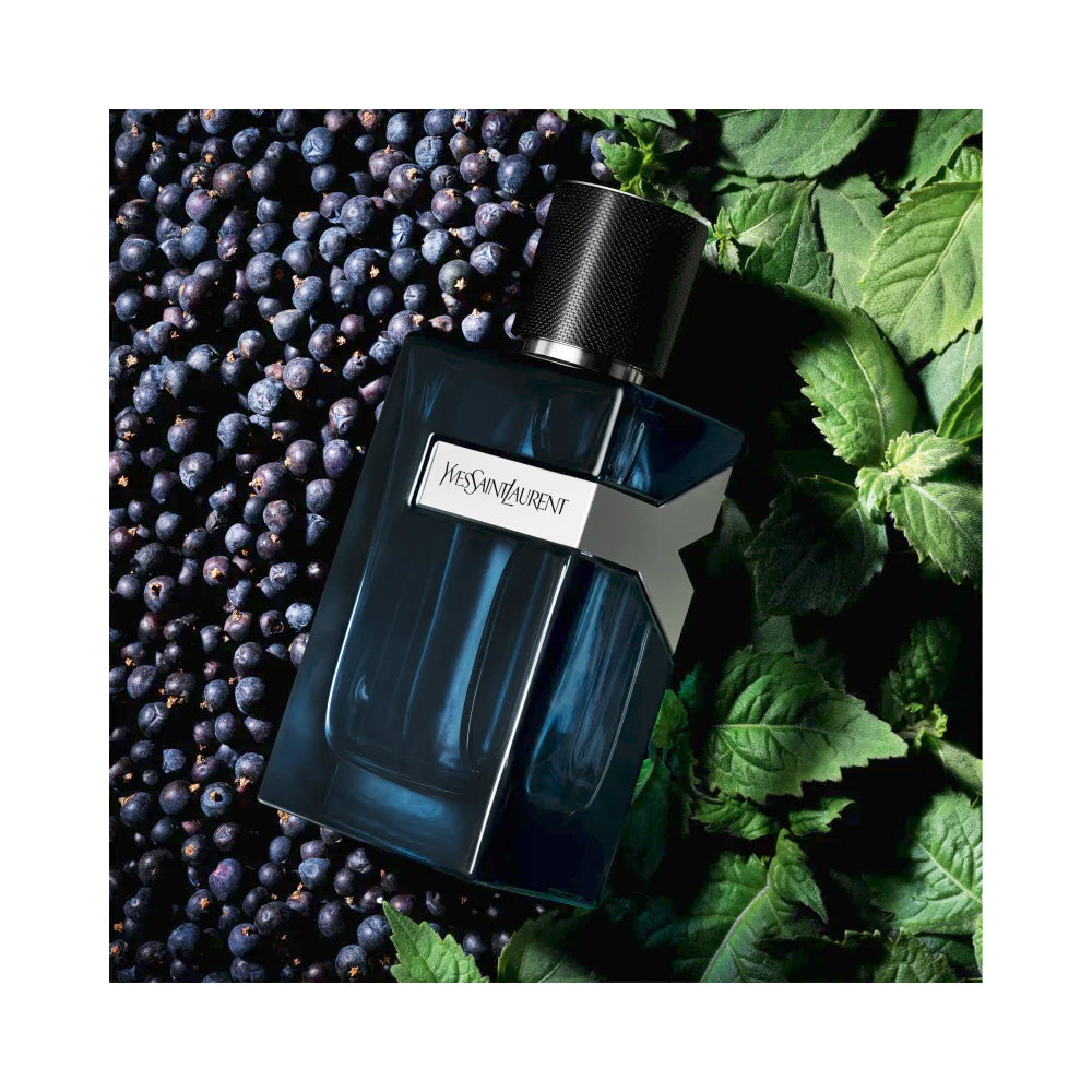 Yves Saint Laurent Y Men Intense, Herrenparfum, zweite Ansicht