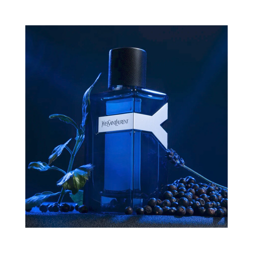 Yves Saint Laurent Y Men Intense, Herrenparfum, fünfte Ansicht