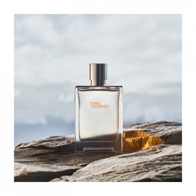 Hermès | Terre d'Hermès Eau Givrée 100 ml : Eau de Parfum - 1000