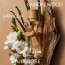 max-mara-eau-de-parfum-femme-vapo-ml-moins-cher.jpg