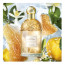 guerlain-aqua-allegoria-nettare-sole-eau-de-toilette-125-ml.jpg
